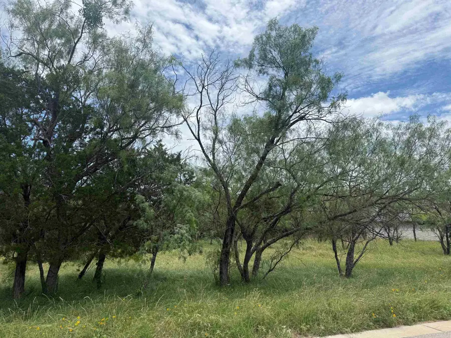 LT W22059B Sun Ray, Horseshoe Bay, TX 78657 - #3