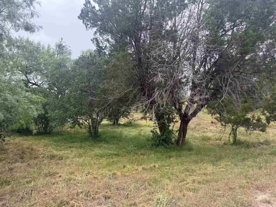 LT W35066 Blue Fox, Horseshoe Bay, TX 78657 - #2