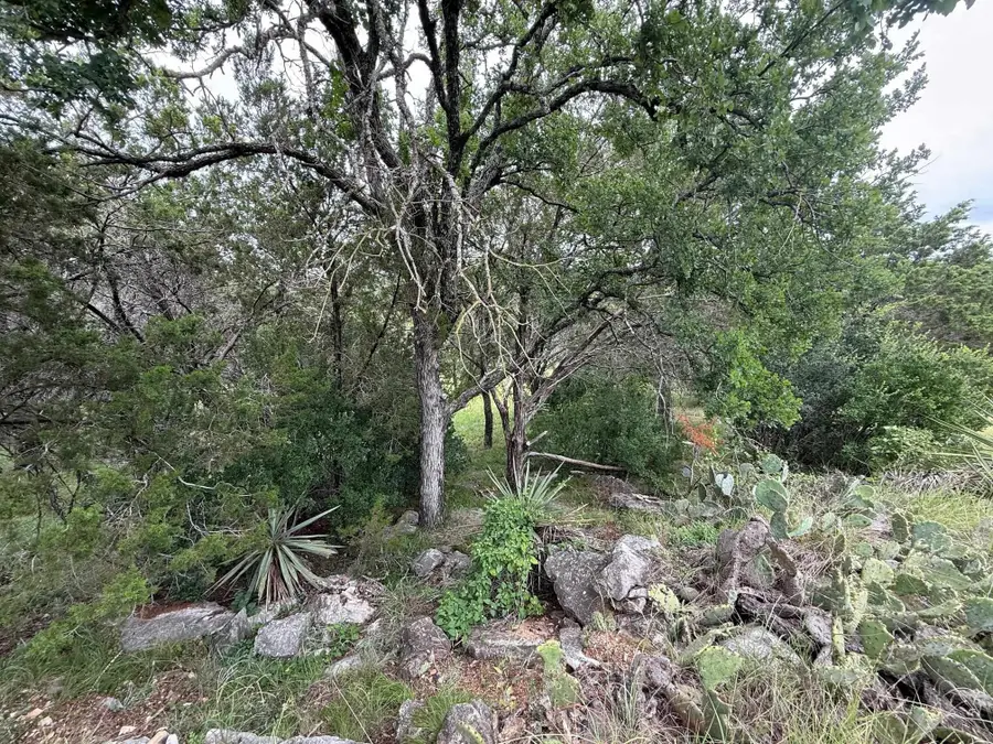 LT 27122 Hi Mesa, Horseshoe Bay, TX 78657 - #3