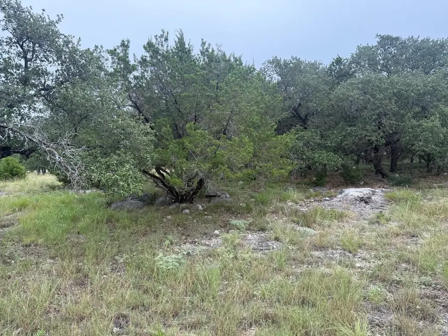 LT 14099 South Wind, Horseshoe Bay, TX 78657 - #2