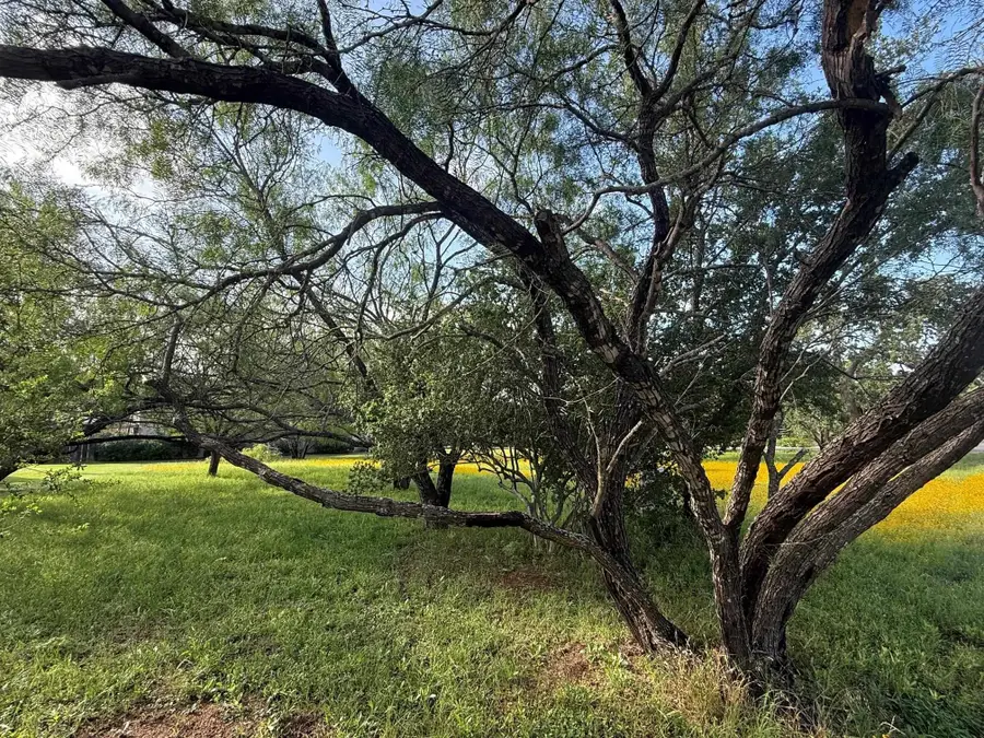 LT W19022-B Fault Line Dr, Horseshoe Bay, TX 78657 - #3