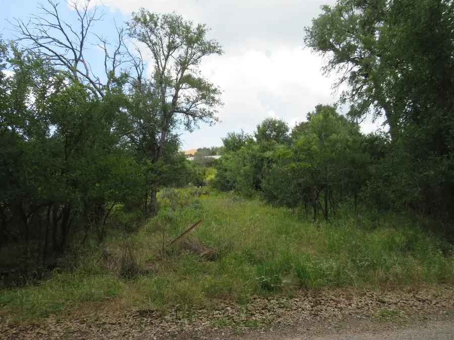 Lot 163 Buena Vista Drive, Burnet, TX 78611 - #2