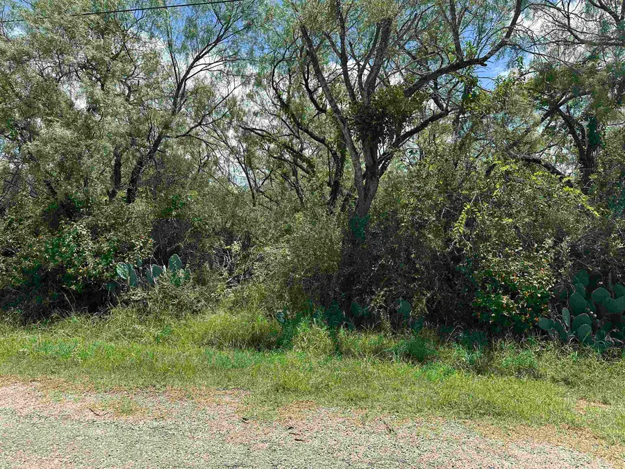 Lot 227 Northcrest Dr, Granite Shoals, TX 78654 - #3