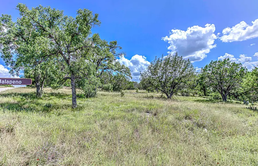Jalapeno/panorama Pass, Horseshoe Bay, TX 78657 - #3
