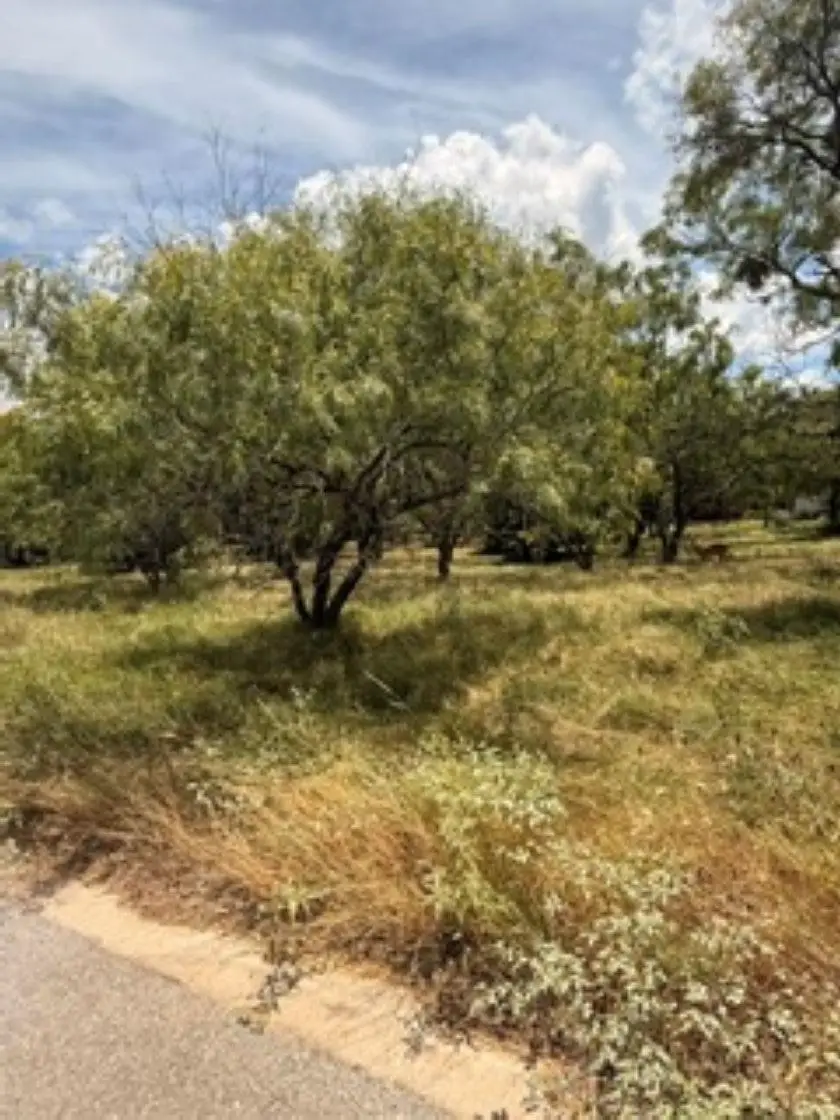 105 Cat Canyon, Horseshoe Bay, TX 78657 - #2