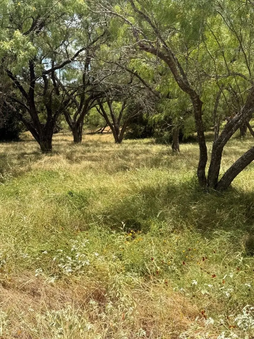 W7017 Sky Lane, Horseshoe Bay, TX 78657 - #1
