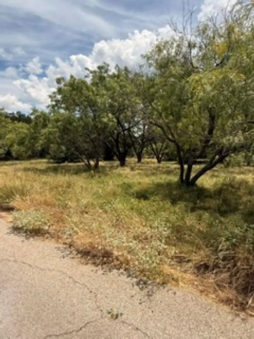 W7017 Sky Lane, Horseshoe Bay, TX 78657 - #3