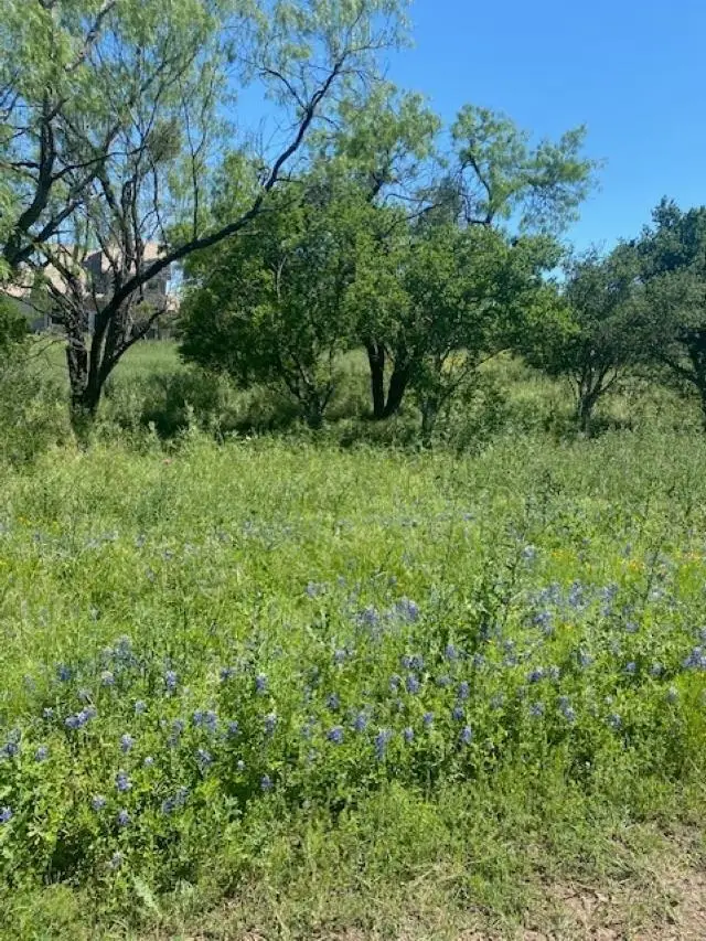 313 Sweetgrass, Horseshoe Bay, TX 78657 - #1