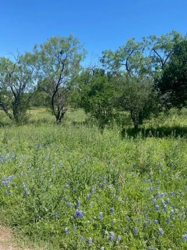 313 Sweetgrass, Horseshoe Bay, TX 78657 - #2