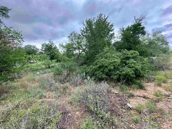 Lot 249 Cactus Trail, Kingsland, TX 78639