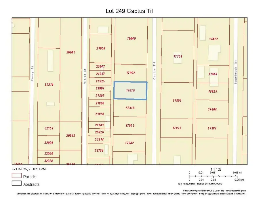 Lot 249 Cactus Trail, Kingsland, TX 78639 - #2
