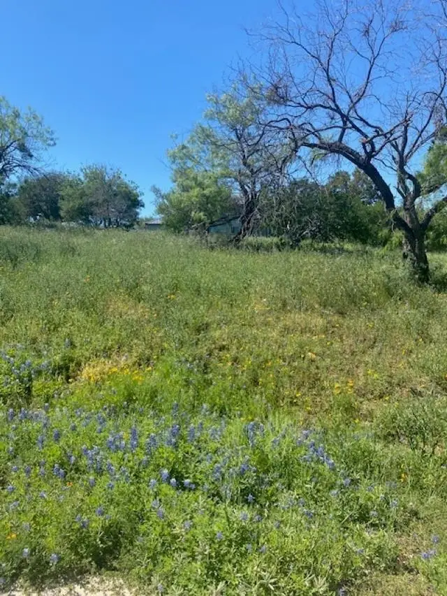 W18072 Spider Valley Drive, Horseshoe Bay, TX 78657 - #1
