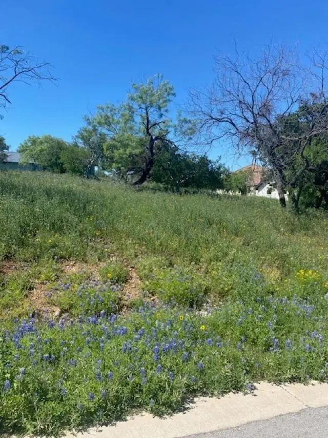 W18072 Spider Valley Drive, Horseshoe Bay, TX 78657 - #3