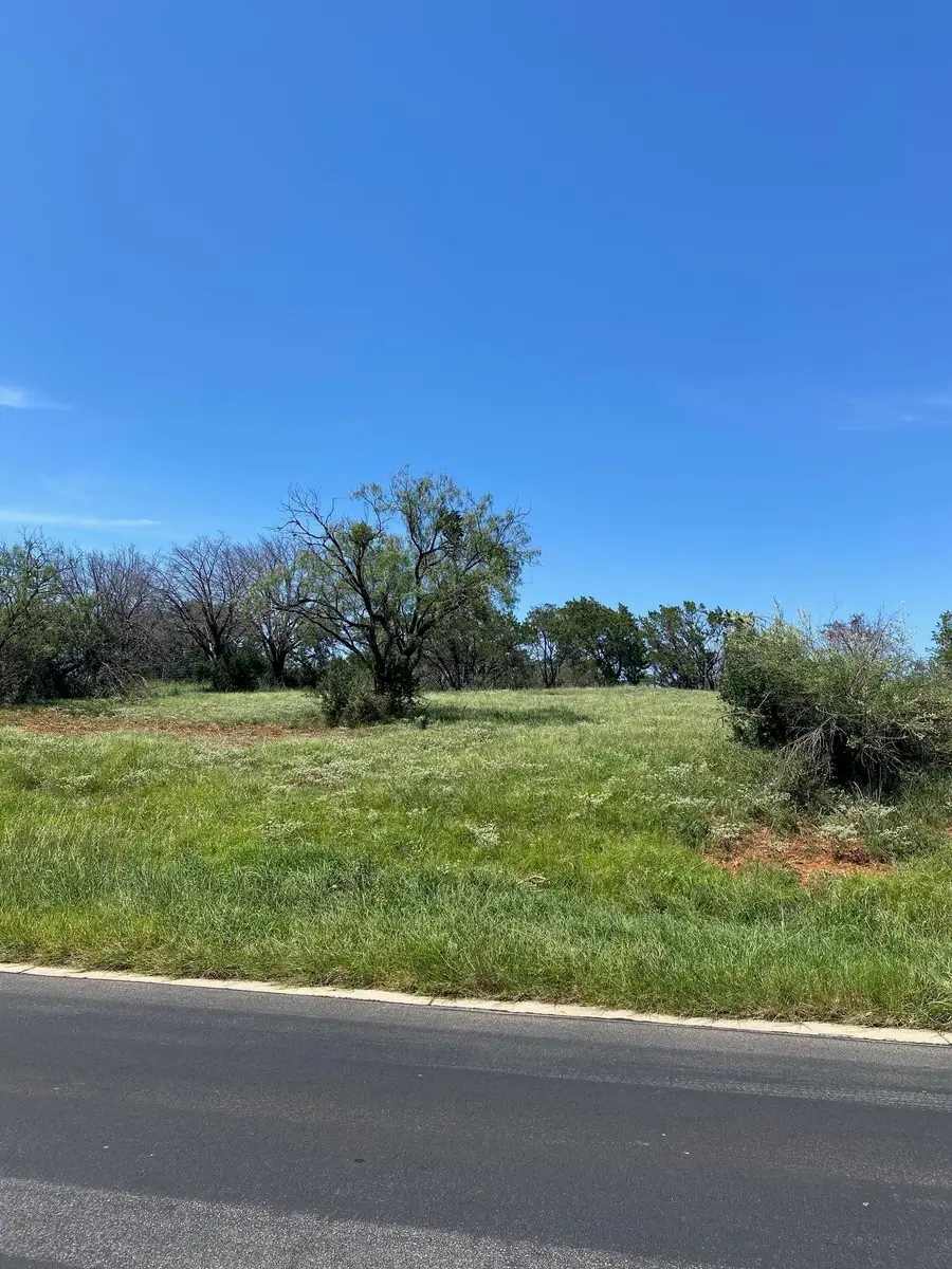 W25004 Apache Tears, Horseshoe Bay, TX 78657 - #2