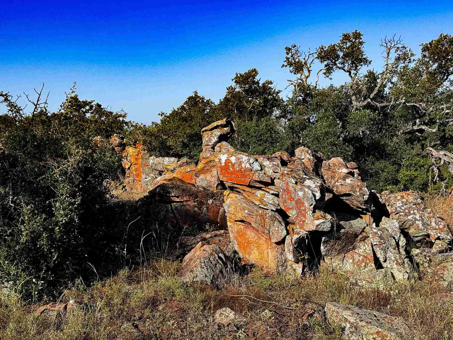 000 W Hwy 29, Llano, TX 78643 - #3
