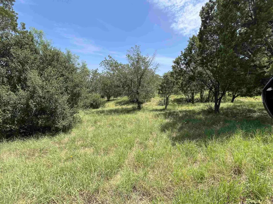 TBD Spider Valley, Horseshoe Bay, TX 78657 - #2