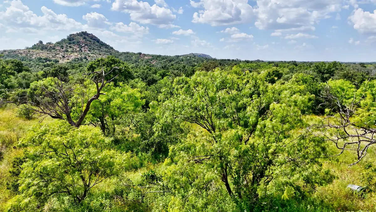 18248 Bode Peak Road, Pontotoc, TX 76869 - #1