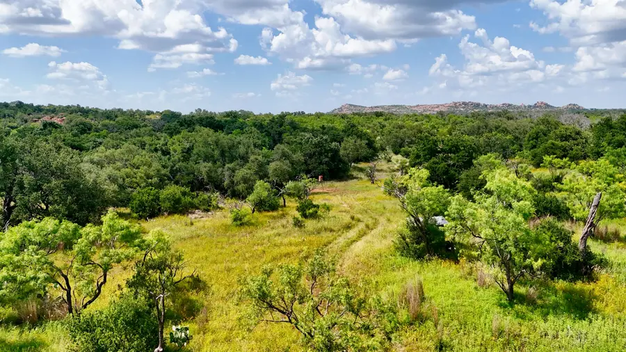 18248 Bode Peak Road, Pontotoc, TX 76869 - #2