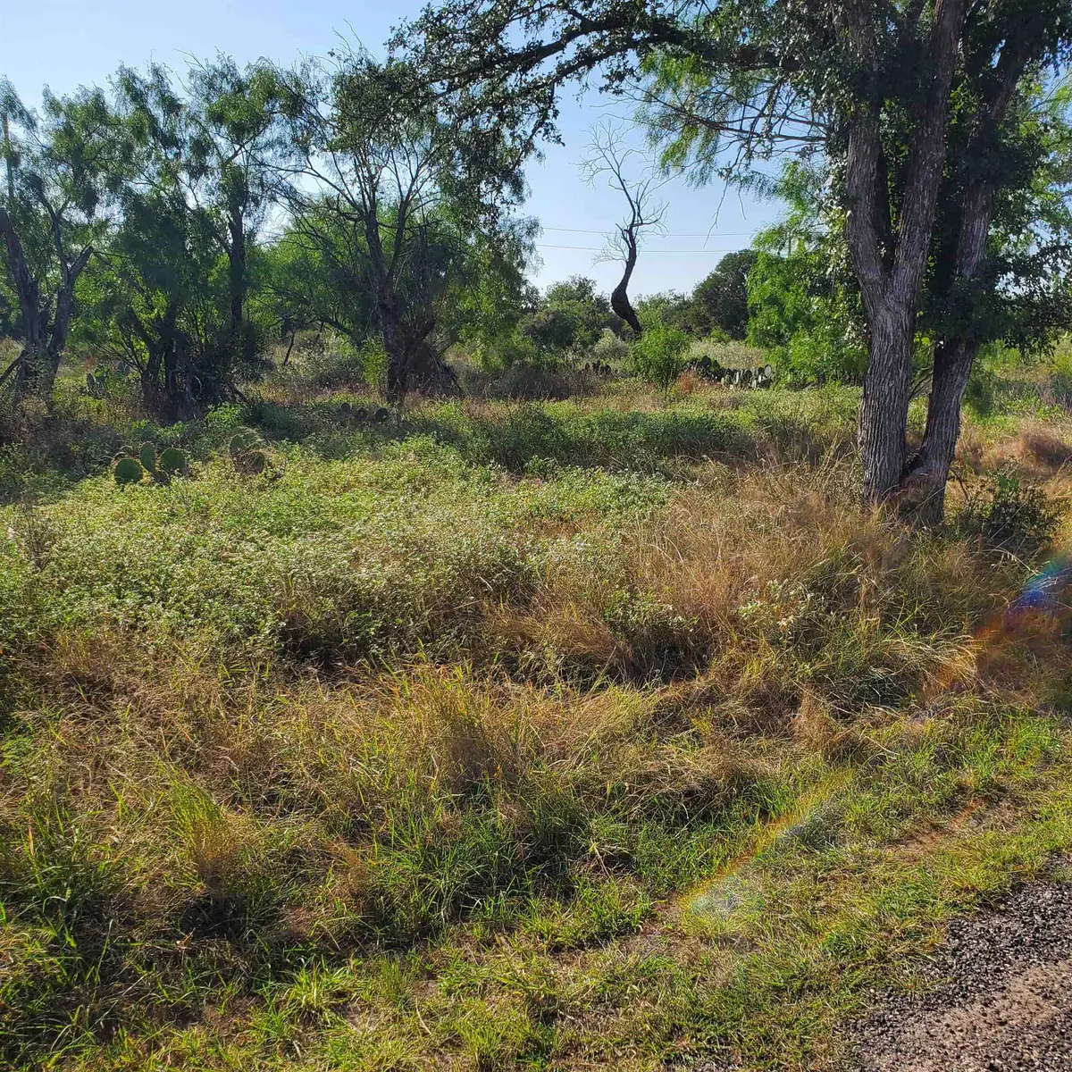 Lots 376 & 377 Woodcrest Drive, Granite Shoals, TX 78654 - #1