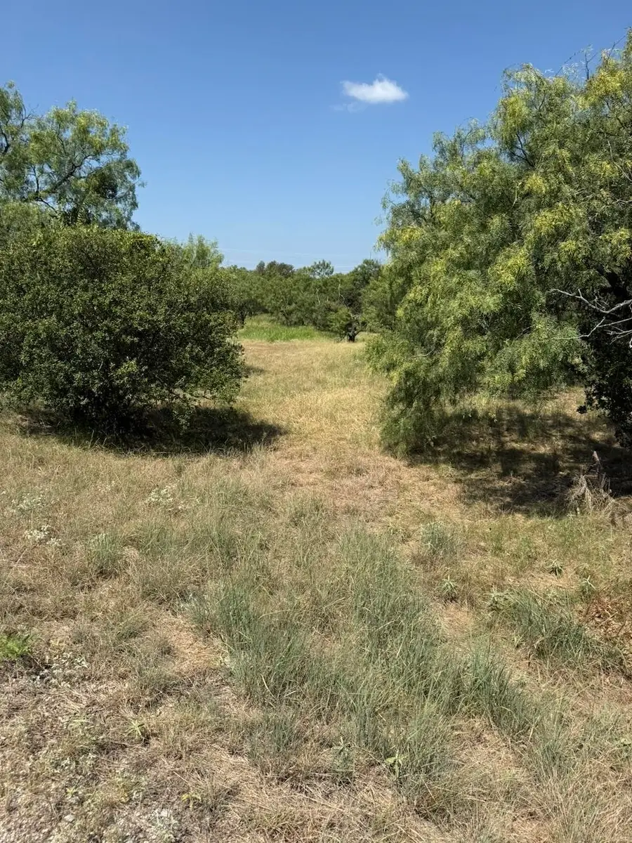 204 Colt, Horseshoe Bay, TX 78657 - #2