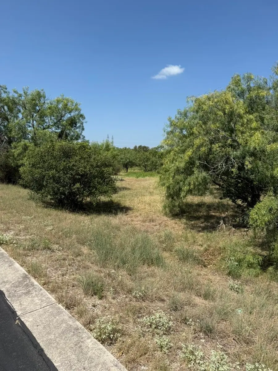 204 Colt, Horseshoe Bay, TX 78657 - #3