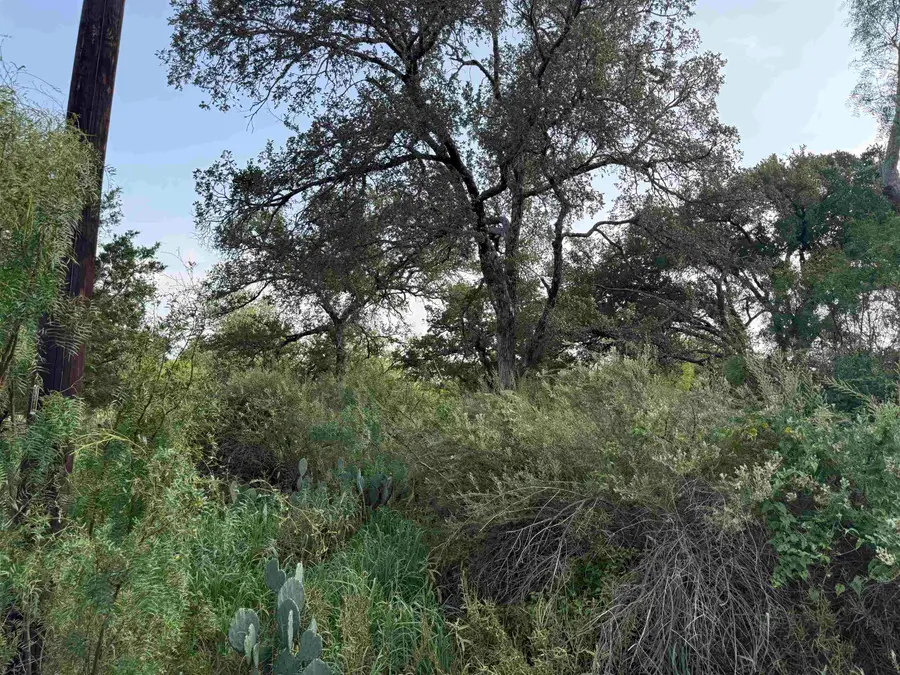 Lot 424 & 425 Oakhill Drive, Granite Shoals, TX 78654 - #2