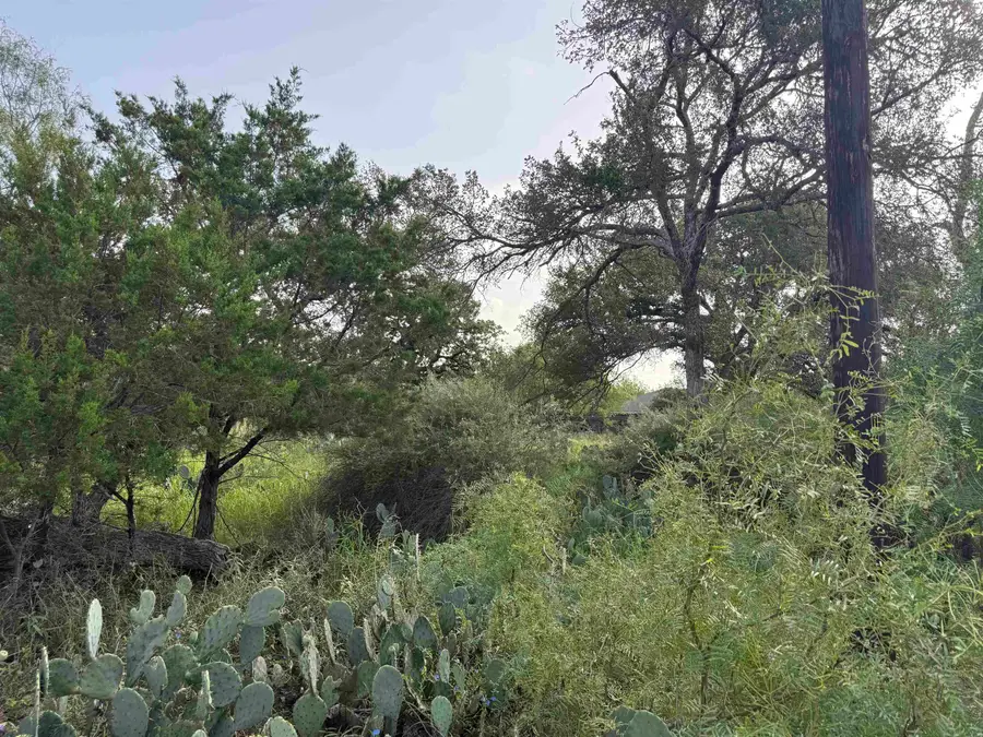 Lot 424 & 425 Oakhill Drive, Granite Shoals, TX 78654 - #3