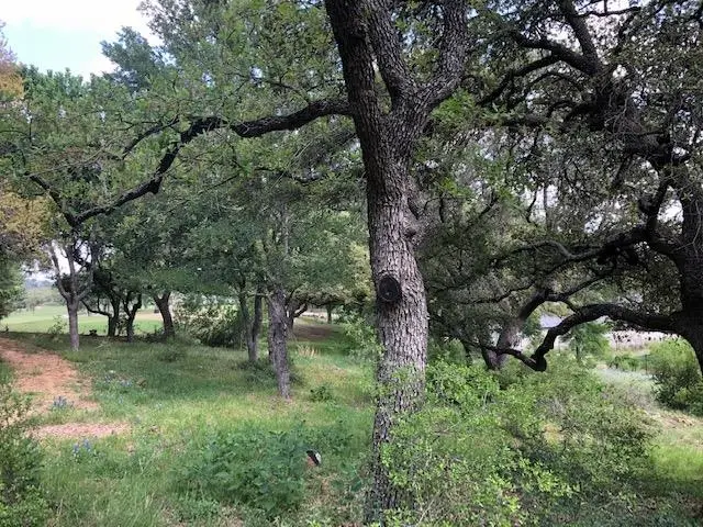 W Bay Quick Cir, Horseshoe Bay, TX 78657 - #2