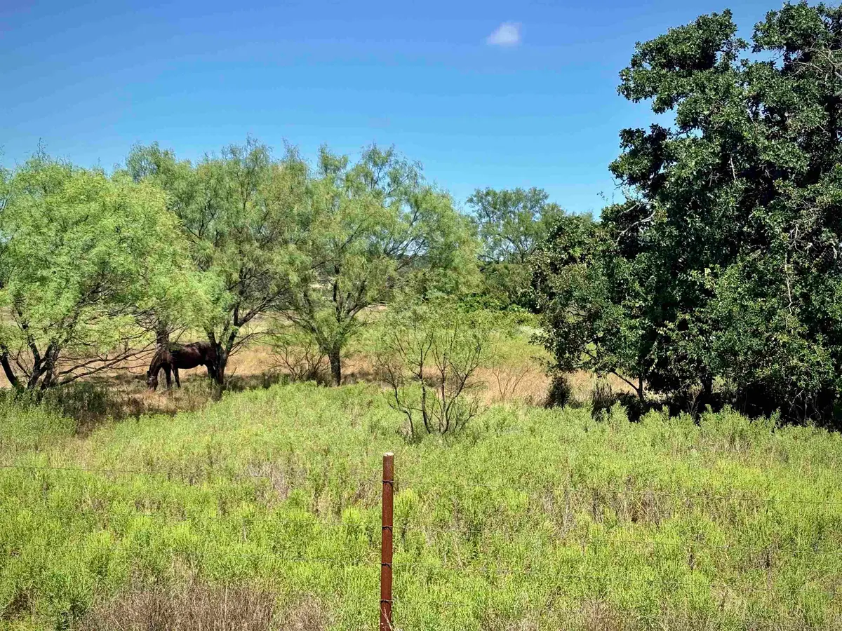 Buffalo Spring Circle, Valley Spring, TX 76885 - #1