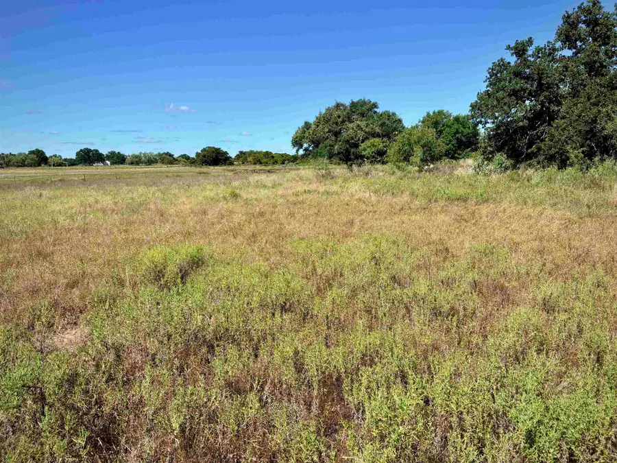 Buffalo Spring Circle, Valley Spring, TX 76885 - #3