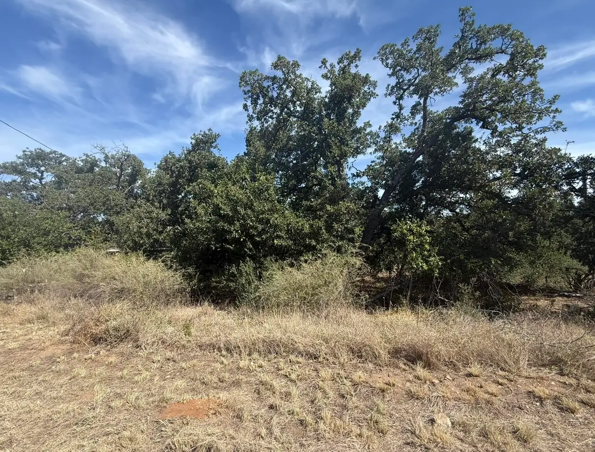 TBD Cree Trl, Kingsland, TX 78639 - #1