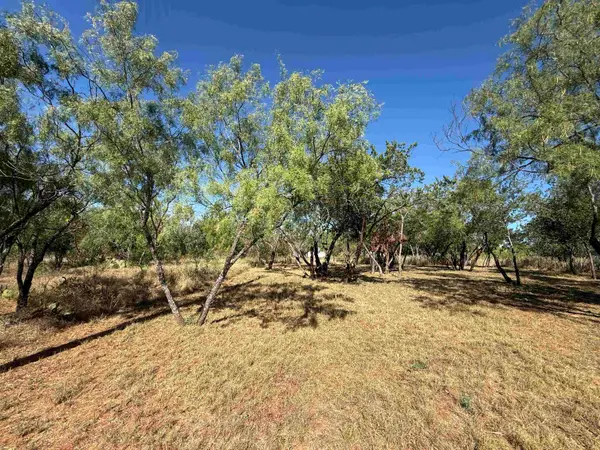 Lot #496 Driftwood Lane, Cottonwood Shores, TX 78657
