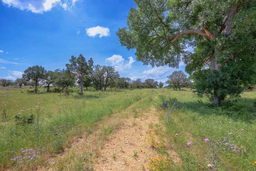 19131 Wolfridge Rd, Killeen, TX 76542 - #2