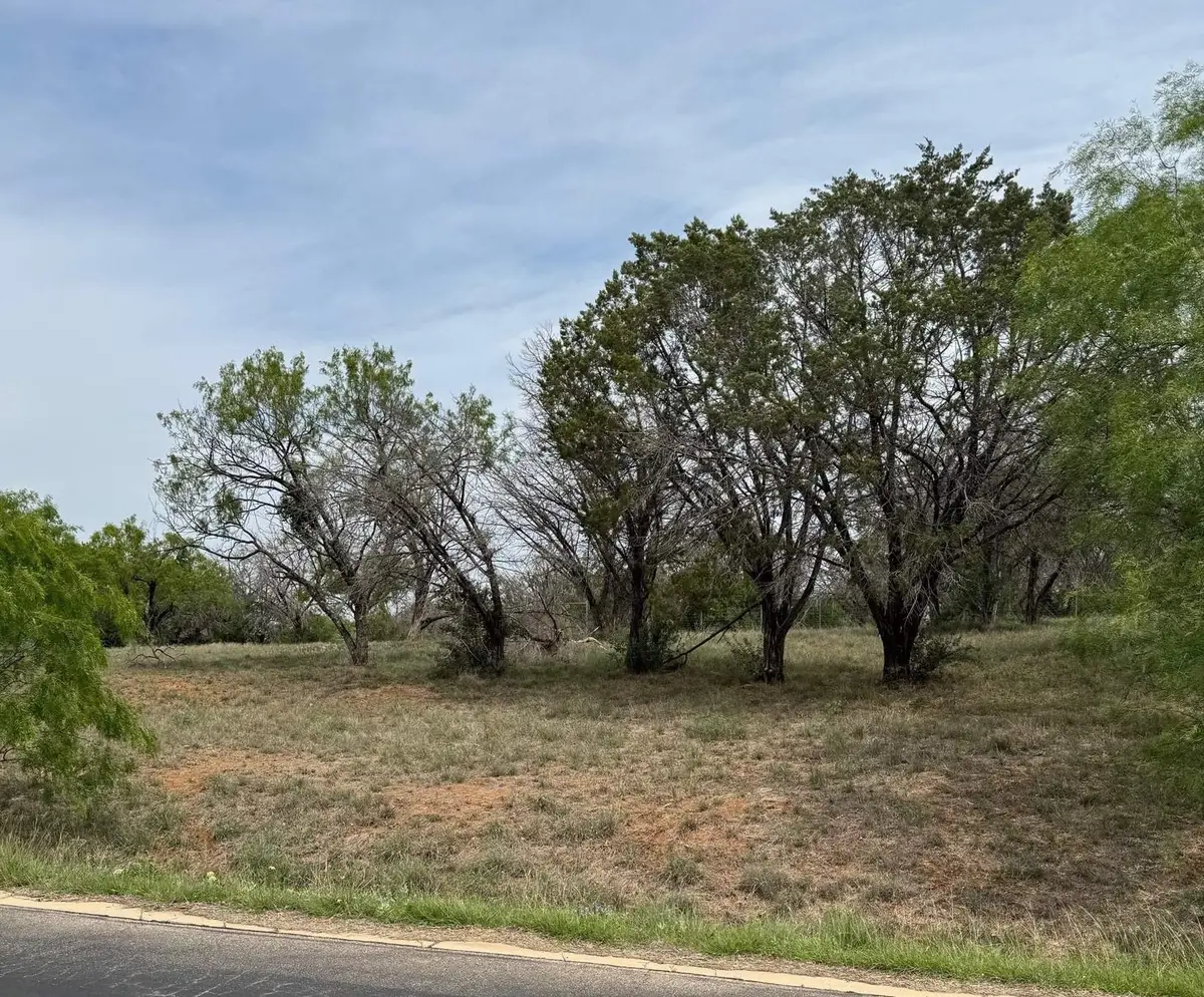 Lot W25002 Apache Tears, Horseshoe Bay, TX 78657 - #1