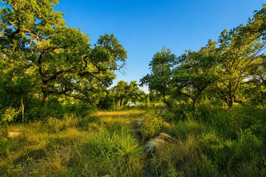 TBD Cr 104, Llano, TX 78643-0000 - #3