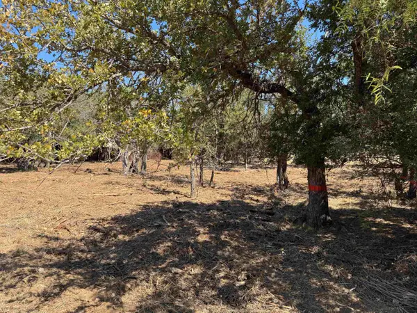 Lots 288 & 289 Maple Drive, Granite Shoals, TX 78654