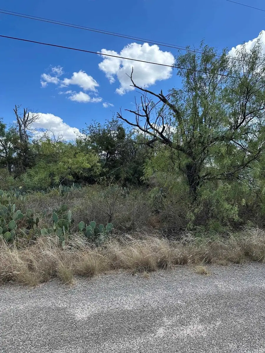 Woodcrest, Granite Shoals, TX 78654 - #2
