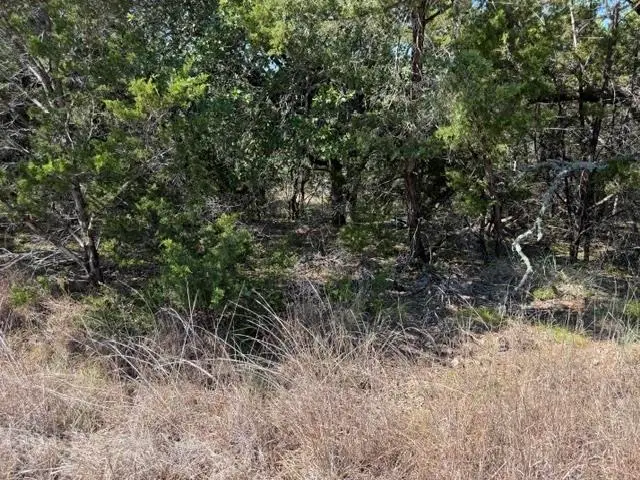 Dew Drop, Horseshoe Bay, TX 78657 - #3