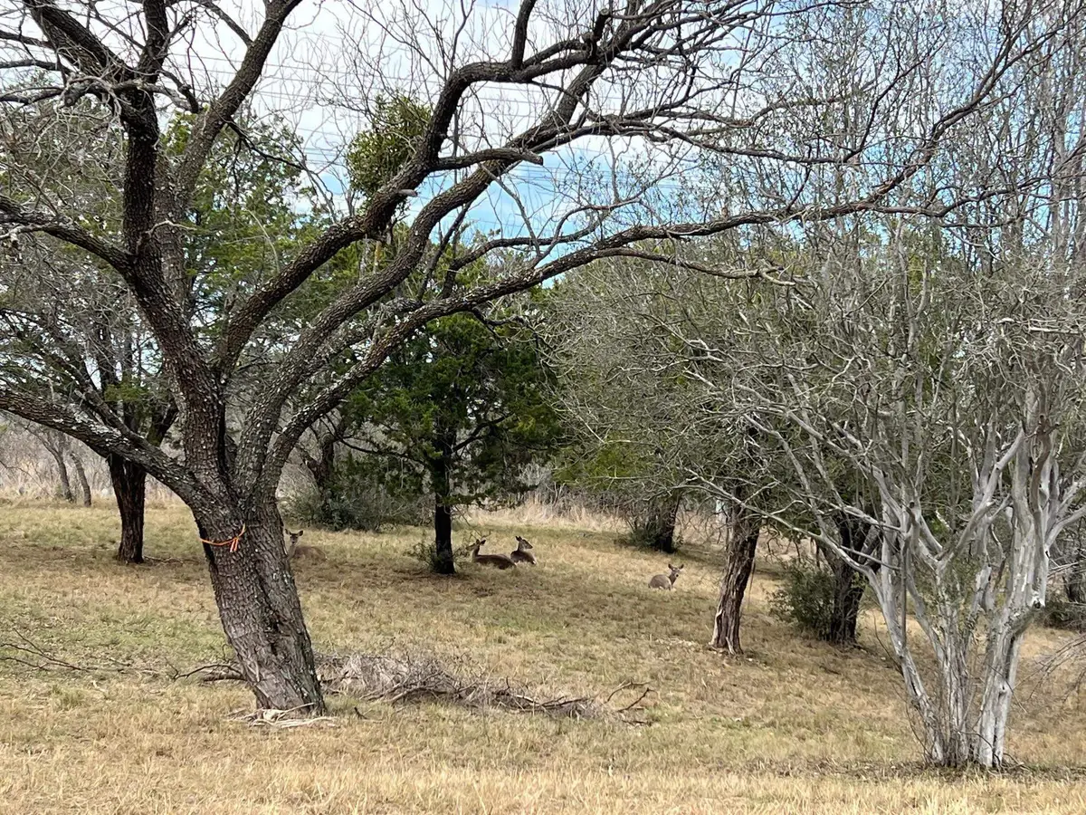 Duplex Lot 8002 Hi Circle West, Horseshoe Bay, TX 78657-0000 - #1