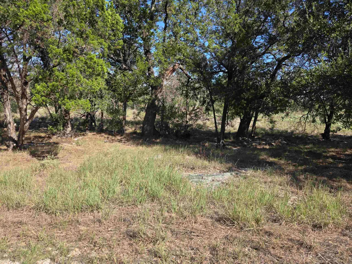 LT S5221 Mountain Dew, Horseshoe Bay, TX 78657 - #1