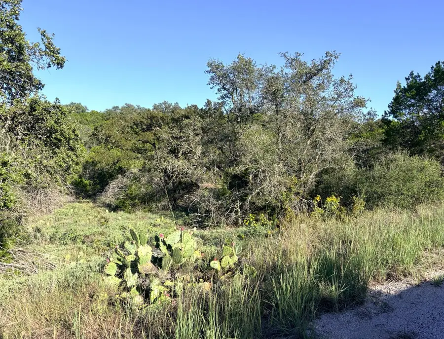 S5220 Mountain Dew, Horseshoe Bay, TX 78657 - #3