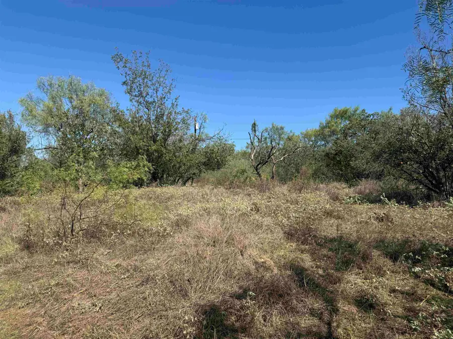 TBD Lot-147 Concho Trail, Kingsland, TX 78639 - #2