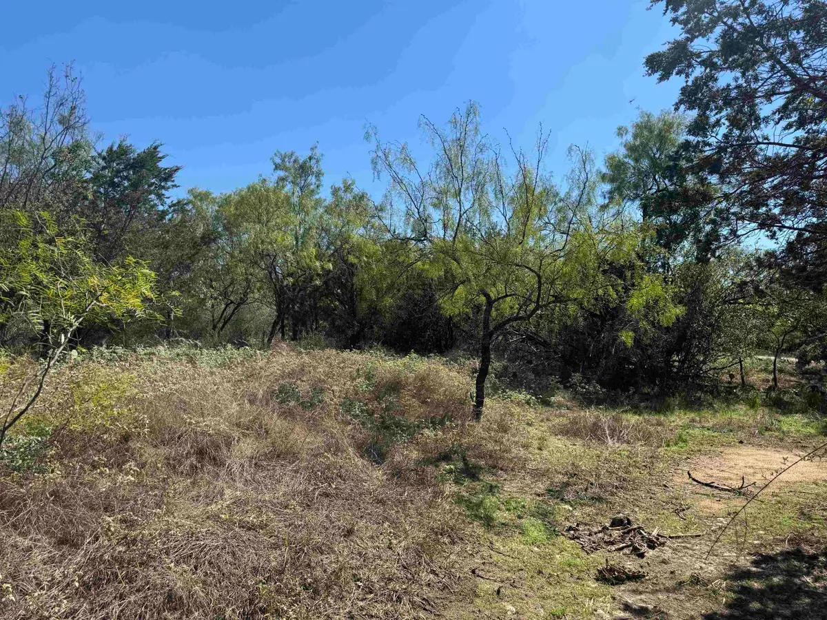TBD lot-148 Concho Trail, Kingsland, TX 78639 - #1