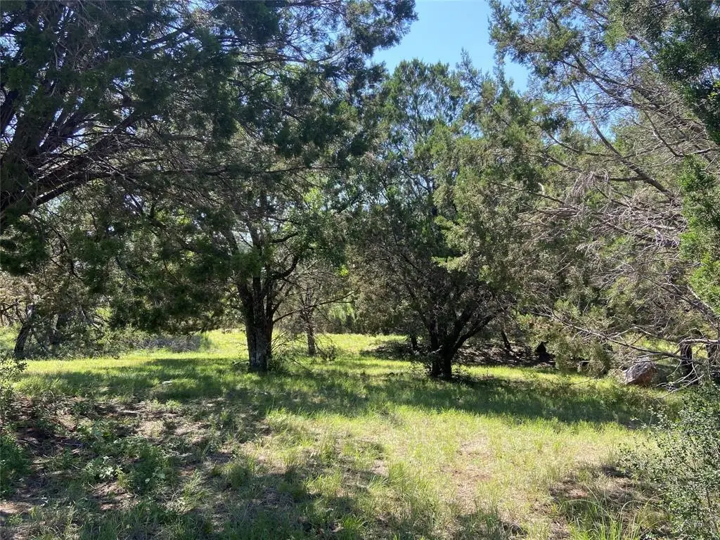 Apache Tears, Horseshoe Bay, TX 78657 - #1