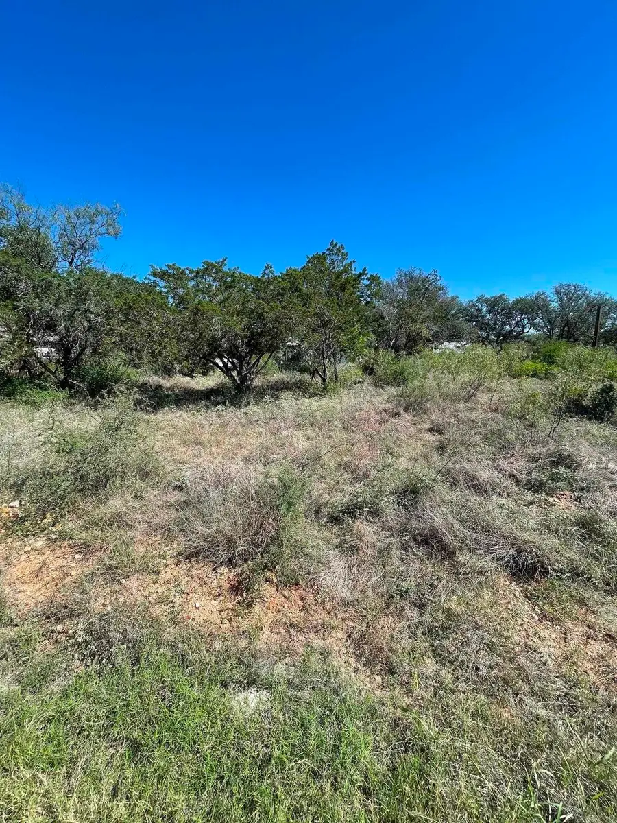 lot 535 Maple Lane, Cottonwood Shores, TX 78657 - #3
