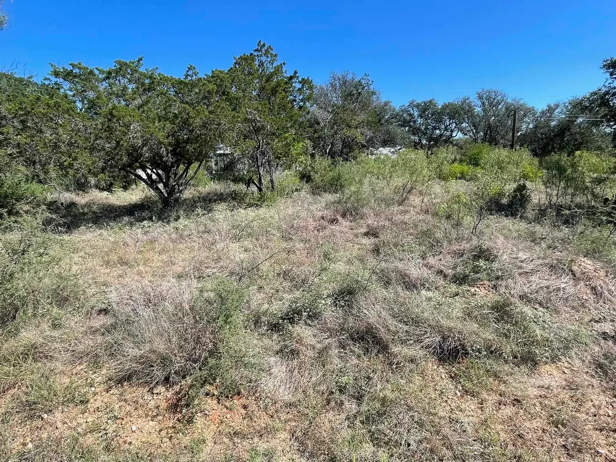 Lot 536 Maple Lane, Cottonwood Shores, TX 78657 - #1