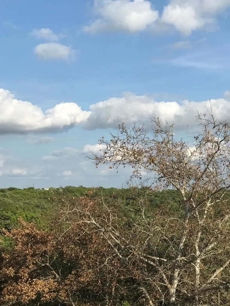 146 Turtle Creek View, Kerrville, TX 78028 - Image #2