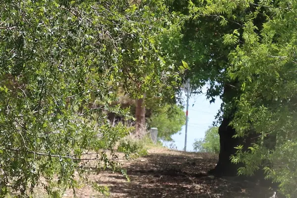 19 & 20 Cedar St, Bandera, TX 78003