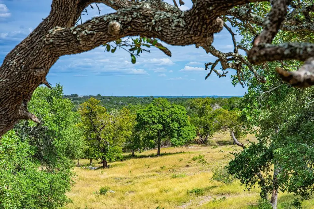 Lot 10 Cattlemans Crossing Dr, Kerrville, TX 78028 - Image #1