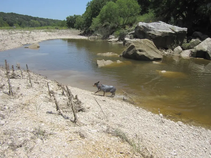 TBD Scenic Loop, Pipe Creek, TX 78063 - Image #3